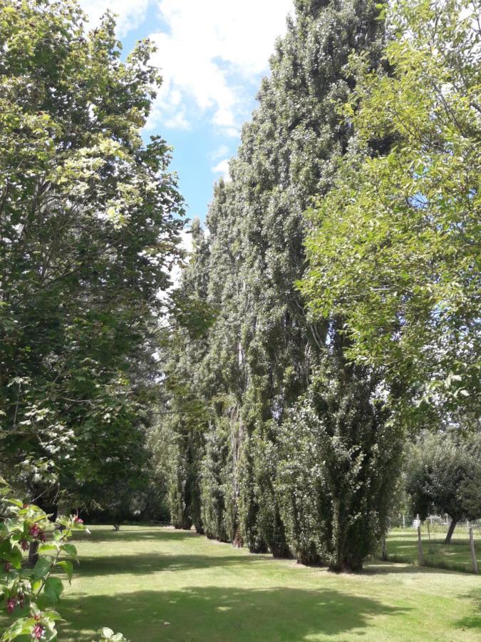 Saint-Hilaire-la-Palud Logis De Lange Studio 2 P מראה חיצוני תמונה