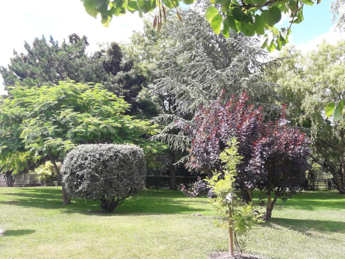 Saint-Hilaire-la-Palud Logis De Lange Studio 2 P מראה חיצוני תמונה
