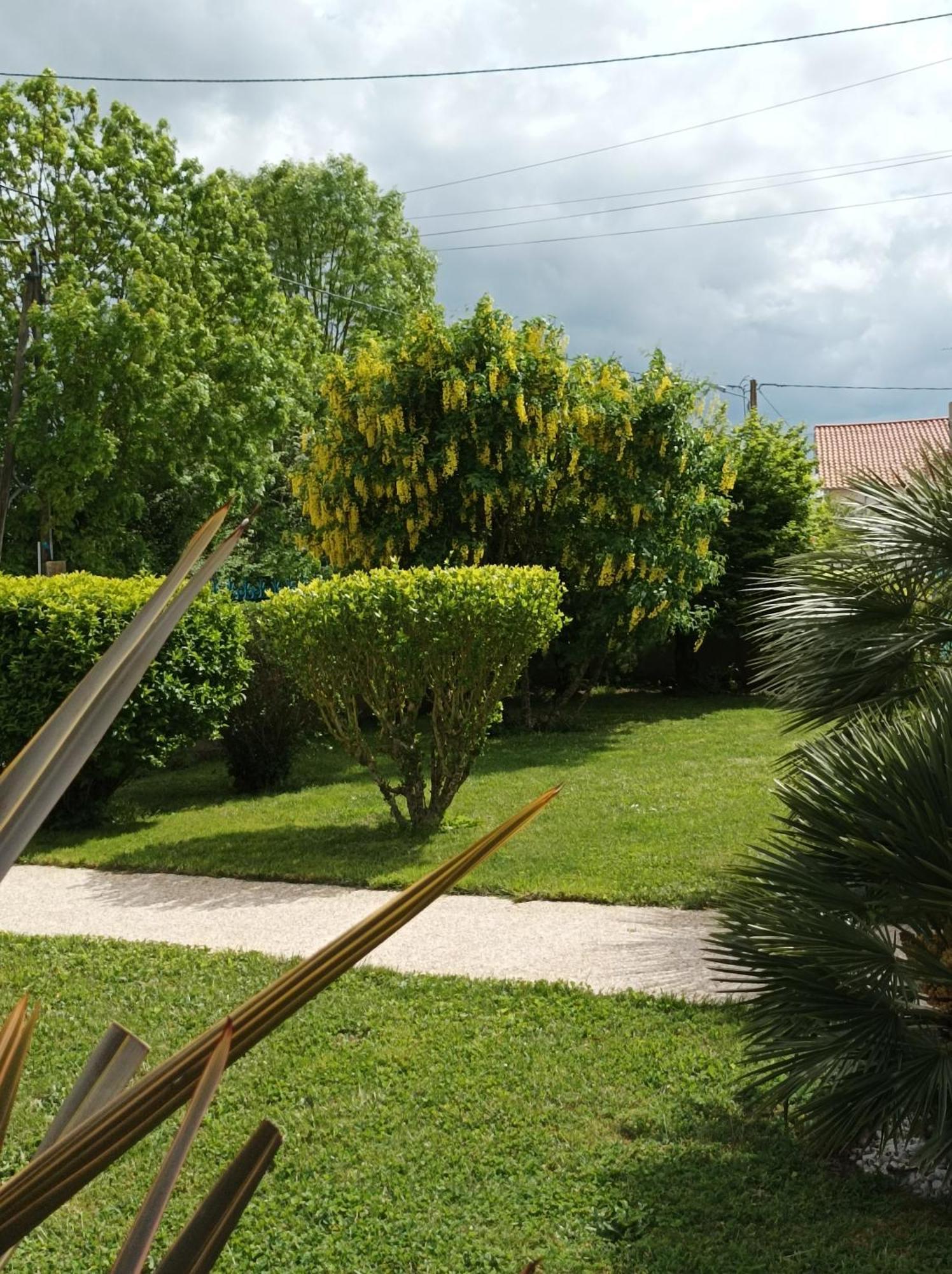 Saint-Hilaire-la-Palud Logis De Lange Studio 2 P מראה חיצוני תמונה