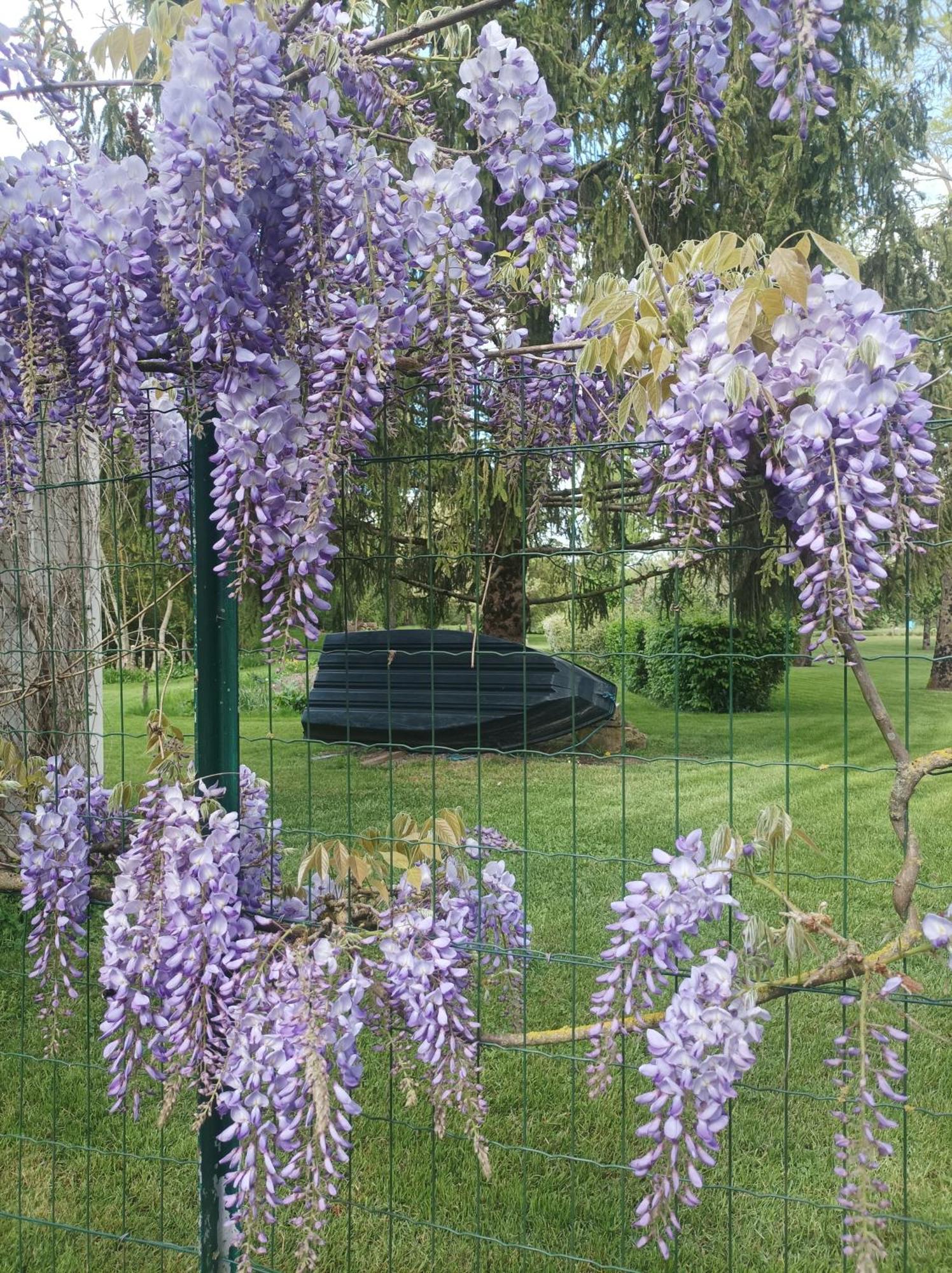 Saint-Hilaire-la-Palud Logis De Lange Studio 2 P מראה חיצוני תמונה
